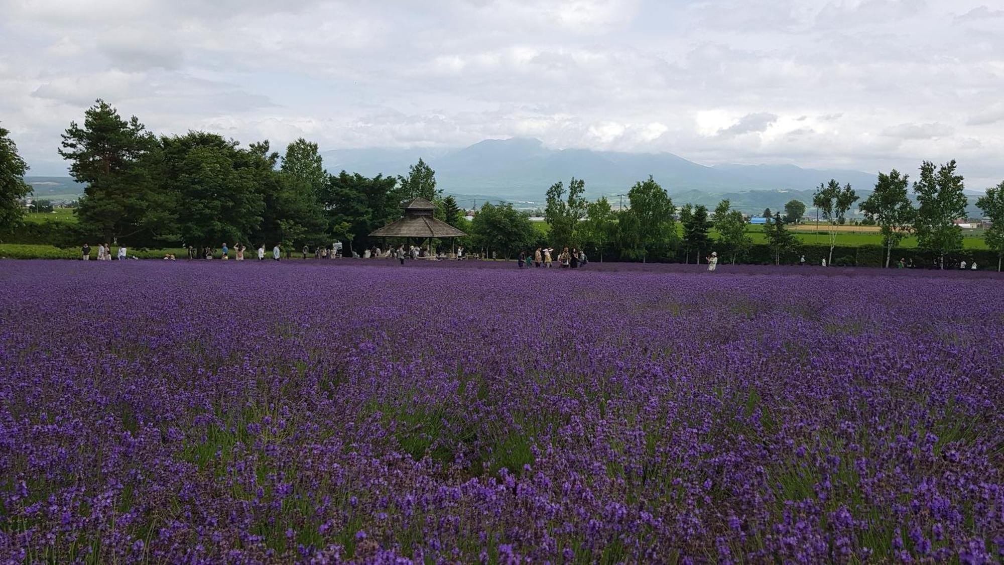 Furano B&B Exterior foto